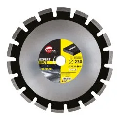 LEMAN - 220 - Disque Diamant Segments Asphalte