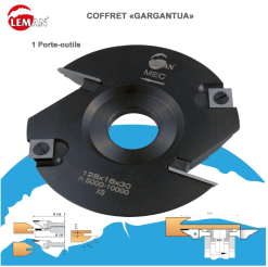 LEMAN - COFFRET 3 P.O. AL.30 ET ACCESSOIRES / PROFIL C.P. TENON / POUR COMBINE 15 LEMAN - COFFRET 3 P.O. AL.30 ET ACCESSOIRES / PROFIL C.P. TENON / POUR COMBINE -Scheppach Soldes Magasin LEMAN COFFRET 3 P O AL 30 ET ACCESSOIRES PROFIL C P TENO 3