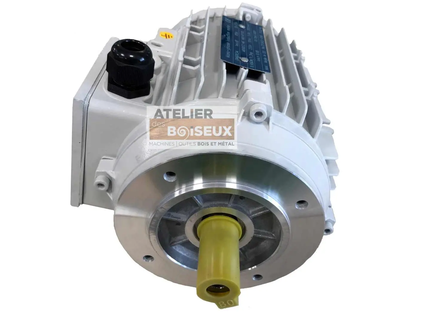 SCHEPPACH - Moteur 230V Monophasé 0.98 KW Pour Combiné Scheppach, Kity Et Woodster 4 SCHEPPACH - Moteur 230V Monophasé 0.98 KW Pour Combiné Scheppach, Kity Et Woodster – Image 2