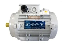 SCHEPPACH - Moteur 230V Monophasé 0.98 KW Pour Combiné Scheppach, Kity Et Woodster 9 SCHEPPACH - Moteur 230V Monophasé 0.98 KW Pour Combiné Scheppach, Kity Et Woodster -Scheppach Soldes Magasin SCHEPPACH Moteur 230V monophase 0 98 kW pour combine Sch