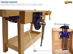 ETABLIS FRANCOIS - ESC Etablis Sculpteur / Luthier Avec Presse Avant à Serrage Rapide PR52 (presse Avec Système De Débrayage Rapide Et Automatique) -Scheppach Soldes Magasin presse rapide etablis PR52 2