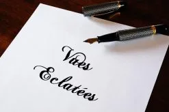 Vue éclatéee MS305DB